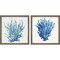 Blue and Green Coral by Aimee Wilson, 2 Piece Rustic Grey Framed Art Set